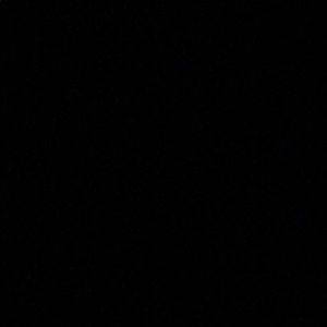 Meet your Posher, Suzanne